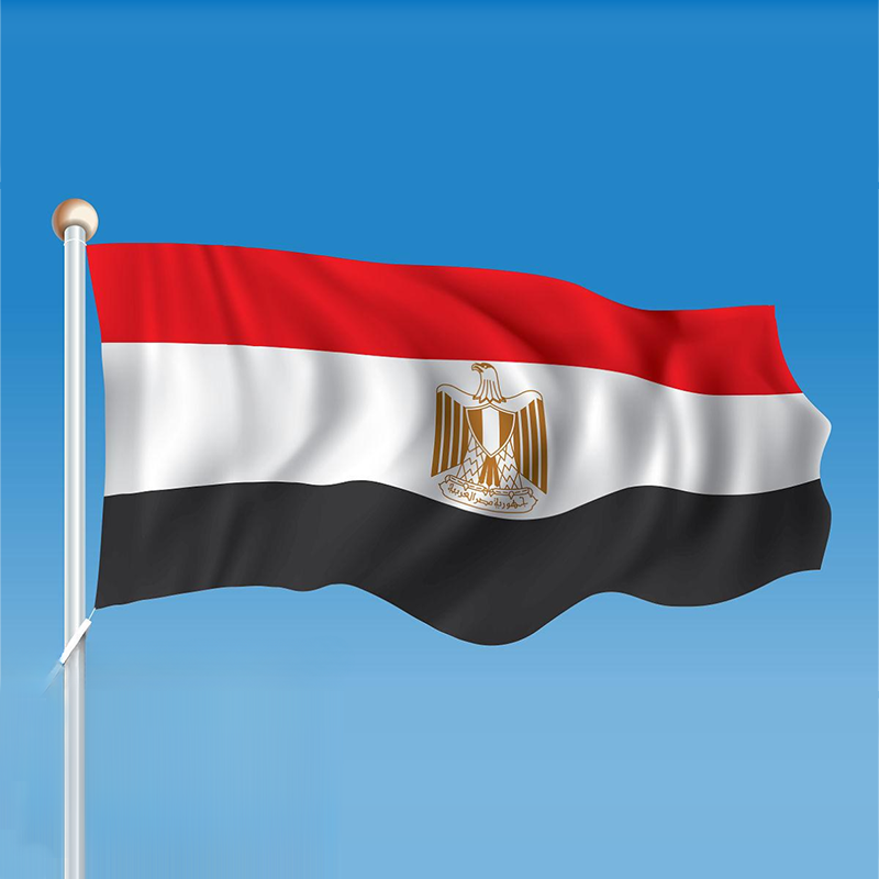 Ang draft ng hydrogen law ng Egypt ay nagmumungkahi ng 55 porsiyentong kredito sa buwis para sa mga proyektong berdeng hydrogen