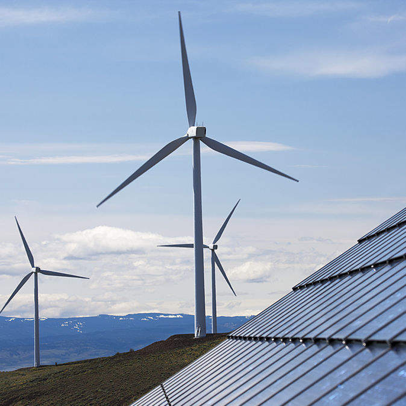 Ang 3GW CQ-H2 green hydrogen project ng Australia ay nakatanggap ng 10 milyong dolyar ng panimulang kapital