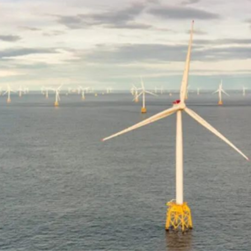 Nakikipagtulungan ang CIP sa mga awtoridad ng Mexico sa mga proyektong green hydrogen at Marine fuel