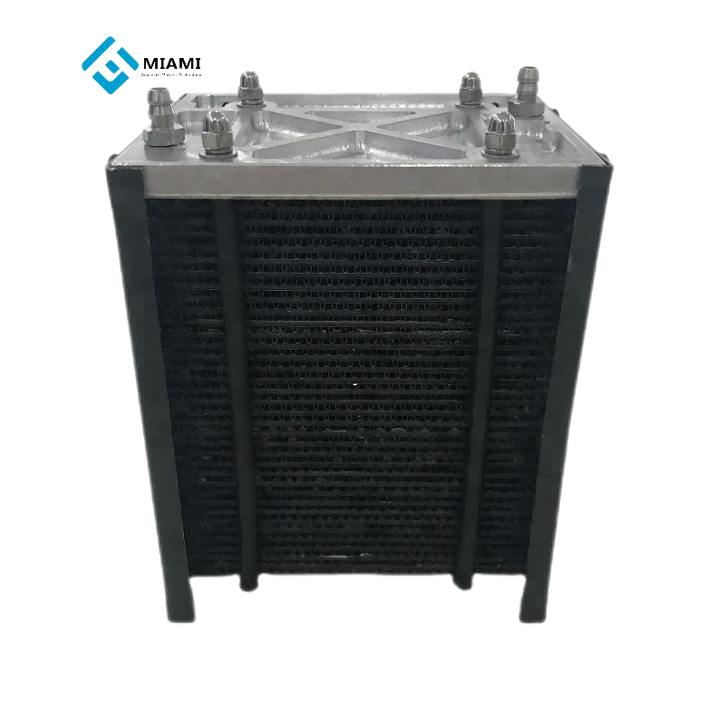 Hydrogen Fuel Cell Stack 220w Hydrogen Stack Fuel Cell Para sa Motor