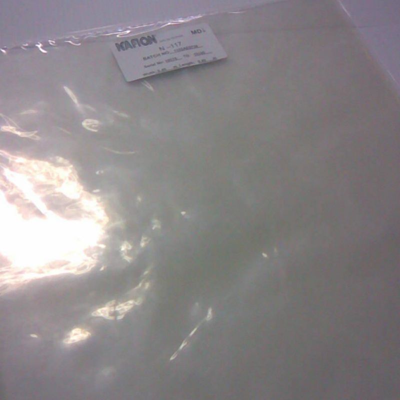 Proton exchange membrane fuel cells: Pangkapaligiran at matipid